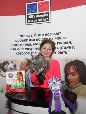 �������� ����� '������� ���-�����' 30 ������-1 ������� 2013., WCF-����� 4277